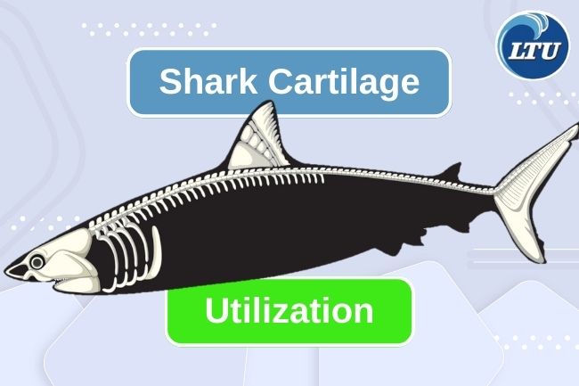 5 Ways Of Shark Cartilage Utilization